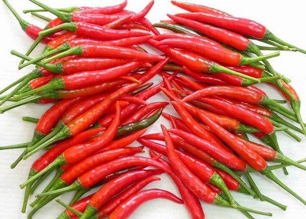 Ớt tươi làm tương ớt Hội An