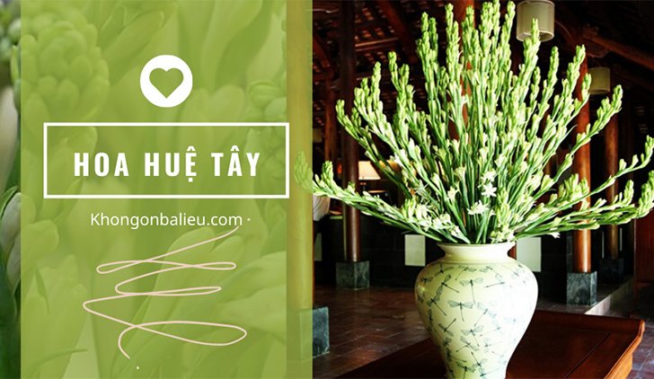 Hoa huệ tây nên tặng khi đi đám giỗ